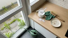 Plevel ve spárách zmizí za pár minut: jak použít kuchyňskou sůl bezpečně