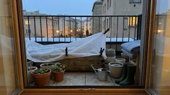 Po jarním teple může přijít mrazivá noc: jak poznat riziko mrazíků a co rychle udělat