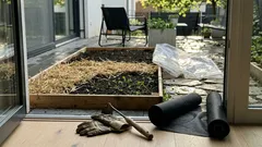 Proč se plevel vrací rychleji, než ho vyplejete: pár návyků, které ho udrží na uzdě bez chemie